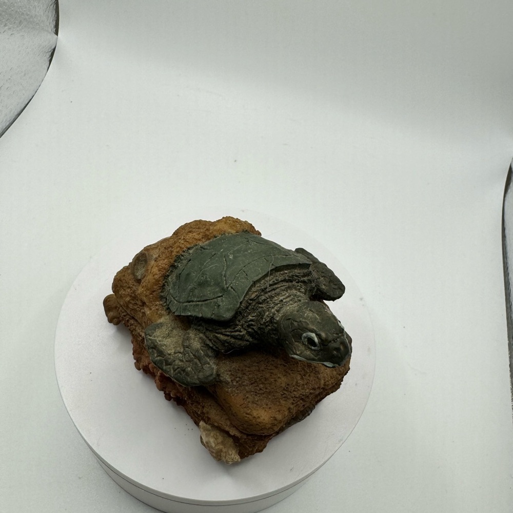 Turtle Box - Picture 6 of 6